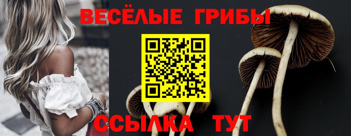 Псилоцибиновые грибы Magic Shrooms Якутск